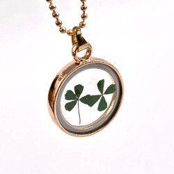 Gouden Kettinkje met twee  echte klavertjes vier nr20 Gouden Kettinkje met twee  echte klavertjes vier nr20