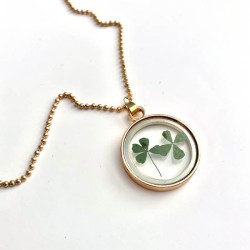 Gouden Kettinkje met twee  echte klavertjes vier nr20 Gouden Kettinkje met twee  echte klavertjes vier nr20