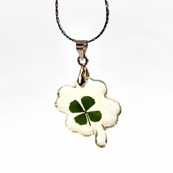 Kettinkje klavertje vier met echt klavertje vier 7 nr13 Kettinkje klavertje vier met echt klavertje vier 7 nr13