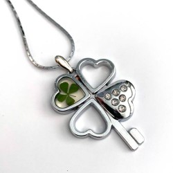 Kettinkje klavertje en sleutel met echt klavertje vier nr33 Kettinkje klavertje en sleutel met echt klavertje vier nr33
