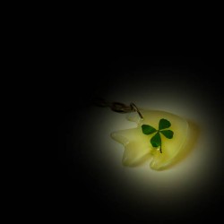 Sleutelhanger vis glow in the dark nr27 Sleutelhanger vis glow in the dark nr27